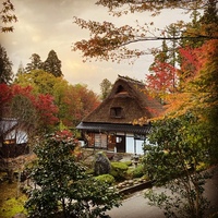 Medium_20191111 (2)